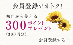 会員登録でオトク！ 初回から使える300ポイントプレゼント