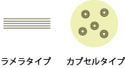 ラメラ構造とカプセル型セラミド
